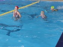 thmb-img-20210721-wa0026-1954.jpg