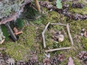 thmb-img-20210722-wa0002-1982.jpg