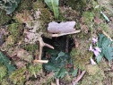 thmb-img-20210722-wa0013-1979.jpg