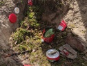 thmb-img-20210722-wa0017-1977.jpg