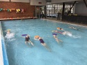 thmb-060476d3-bed2-4f98-bb87-b293fea7158e-2371.jpeg
