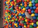 thmb-d455c745-c129-4b97-9bce-57d74ffa9105-2399.jpeg