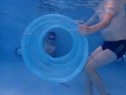 thmb-p8310470-2670.JPG