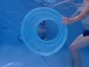 thmb-p8310471-2671.JPG