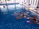 thmb-p8310506-2683.JPG