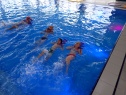 thmb-p8310511-2685.JPG