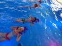 thmb-p8310513-2687.JPG