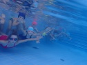 thmb-p8310532-2696.JPG