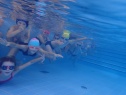 thmb-p8310533-2698.JPG
