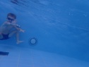 thmb-p8310544-2701.JPG