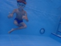 thmb-p8310548-2703.JPG