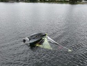 thmb-img-20240717-wa0078-2820.jpg
